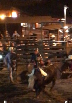 IMG_8326.jpeg