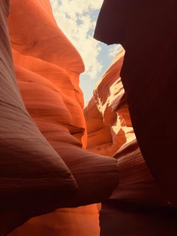 6bc45533-e453-44ea-b4ba-705ec2ce00c1.jpeg