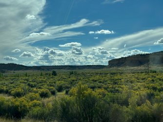 IMG_2774.jpeg