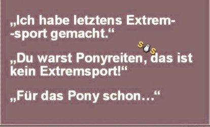 pony.jpg