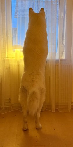 IMG_8348.jpeg