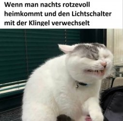 FB_IMG_1748706784348.jpg