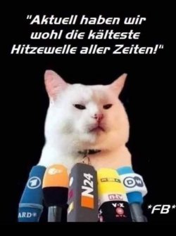 FB_IMG_1748713615692.jpg