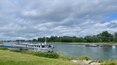 IMG_6331.jpeg
