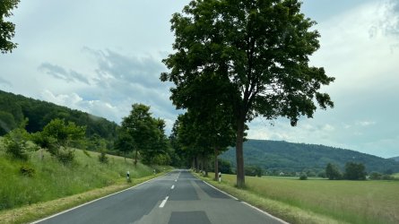IMG_4710.jpeg