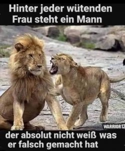 FB_IMG_1749414398116.jpg
