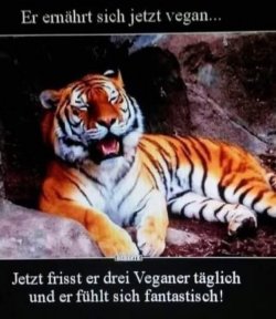 FB_IMG_1749467976047.jpg