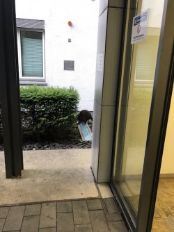 IMG_8766.jpeg