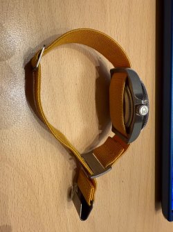 IMG_7772.jpeg