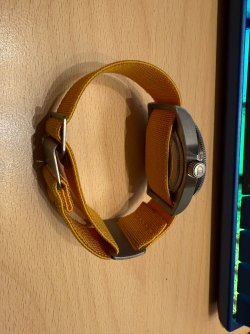 IMG_7771.jpeg