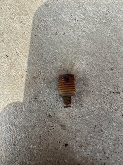 IMG_6188.jpeg