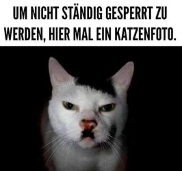 FB_IMG_1749670958415.jpg