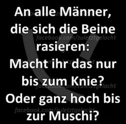 7fe85888-0e1e-47d7-b704-a8aed96f290a.jpeg