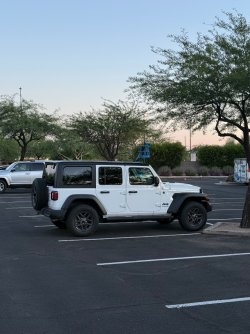 IMG_8442.jpeg