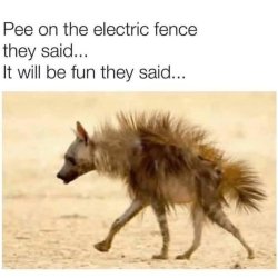 FB_IMG_1750081129977.jpg