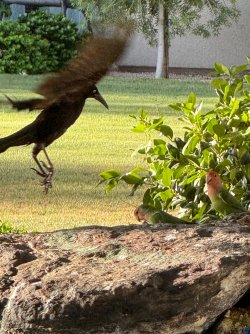 IMG_8481.jpeg