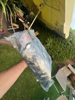 IMG_9812.jpeg