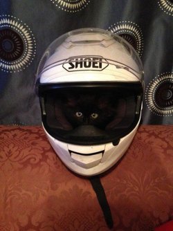 IMG_1493.jpeg