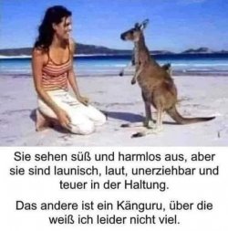 FB_IMG_1750612626633.jpg