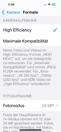 IMG_3036.png