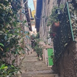 IMG_0862.jpeg