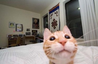 IMG_1505.jpeg