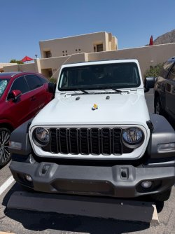 IMG_8725.jpeg IMG_8725.jpeg