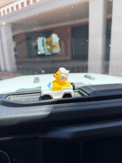 IMG_8724.jpeg IMG_8724.jpeg