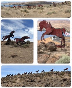 IMG_1624.jpeg IMG_1624.jpeg