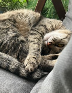 IMG_0261.jpeg
