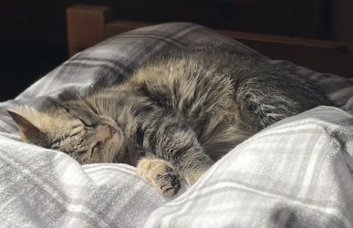 IMG_4888.JPEG