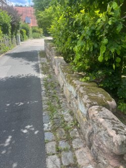 IMG_5631.jpeg