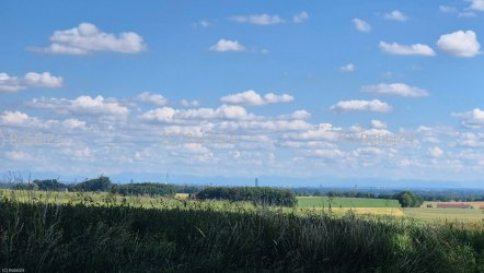 20250628_160738(1)_cpr.jpg
