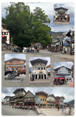 IMG_1628.jpeg IMG_1628.jpeg