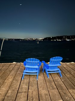 IMG_2574.jpeg IMG_2574.jpeg