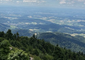 Bild2.JPG