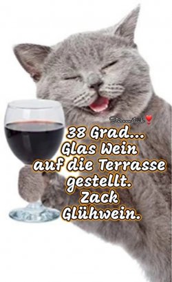 FB_IMG_1751386970165.jpg