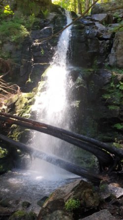 20250629_142649.jpg
