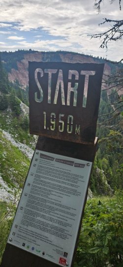 20250704_094758_022417_copy_924x2000.jpg