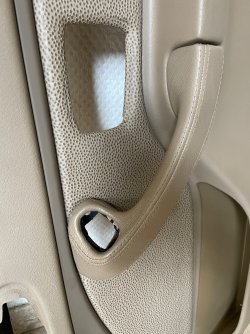 IMG_1007.jpeg