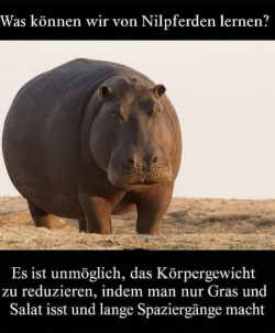 1752045820937.png