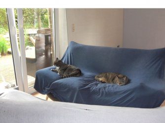 Folie1.jpg