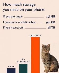 FB_IMG_1752339447739.jpg