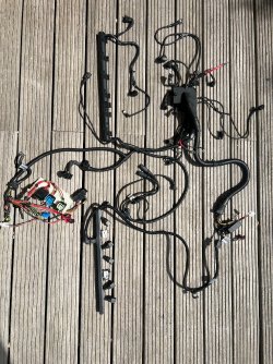 IMG_9486.jpeg