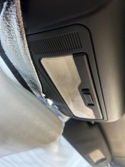 IMG_7252.jpeg