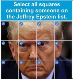 Tick.jpeg