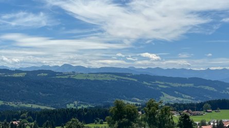 IMG_5212.jpeg