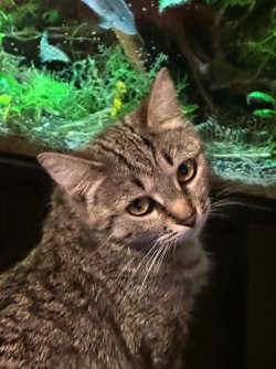 IMG_2203.jpeg