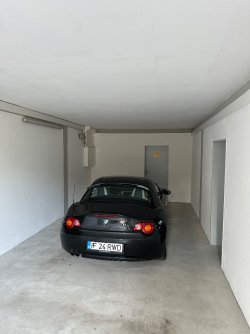 IMG_7399.jpeg