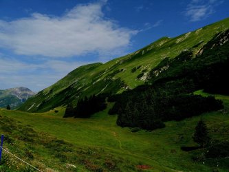 WhatsApp Image 2025-07-21 at 11.52.56 (3).jpeg